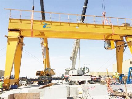 double girder goliath cranes