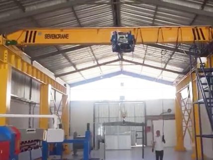 single-girder-overhead-crane-ecuador-client